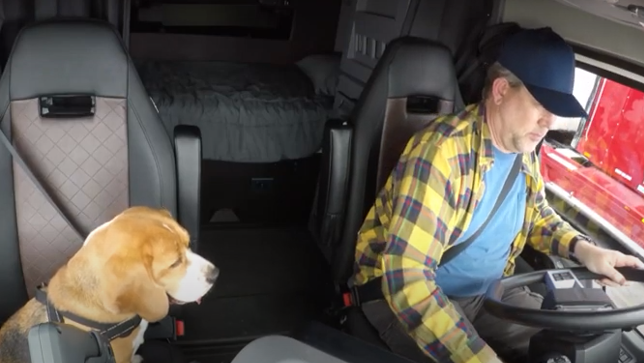 Fmcsa Adas Monitoring Systems You Tube 638f6c335f878