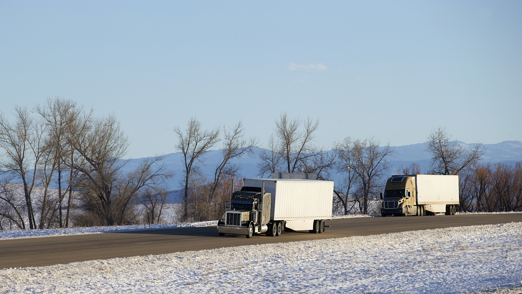 Dreamstime L 114433509