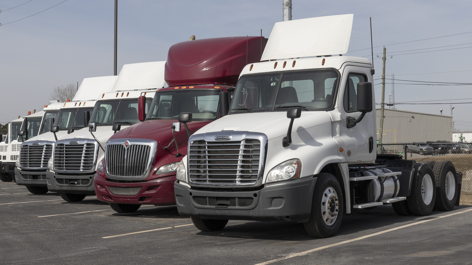 Dreamstime M 242751216 1 639cdcf33ce6d 63a35c692e007