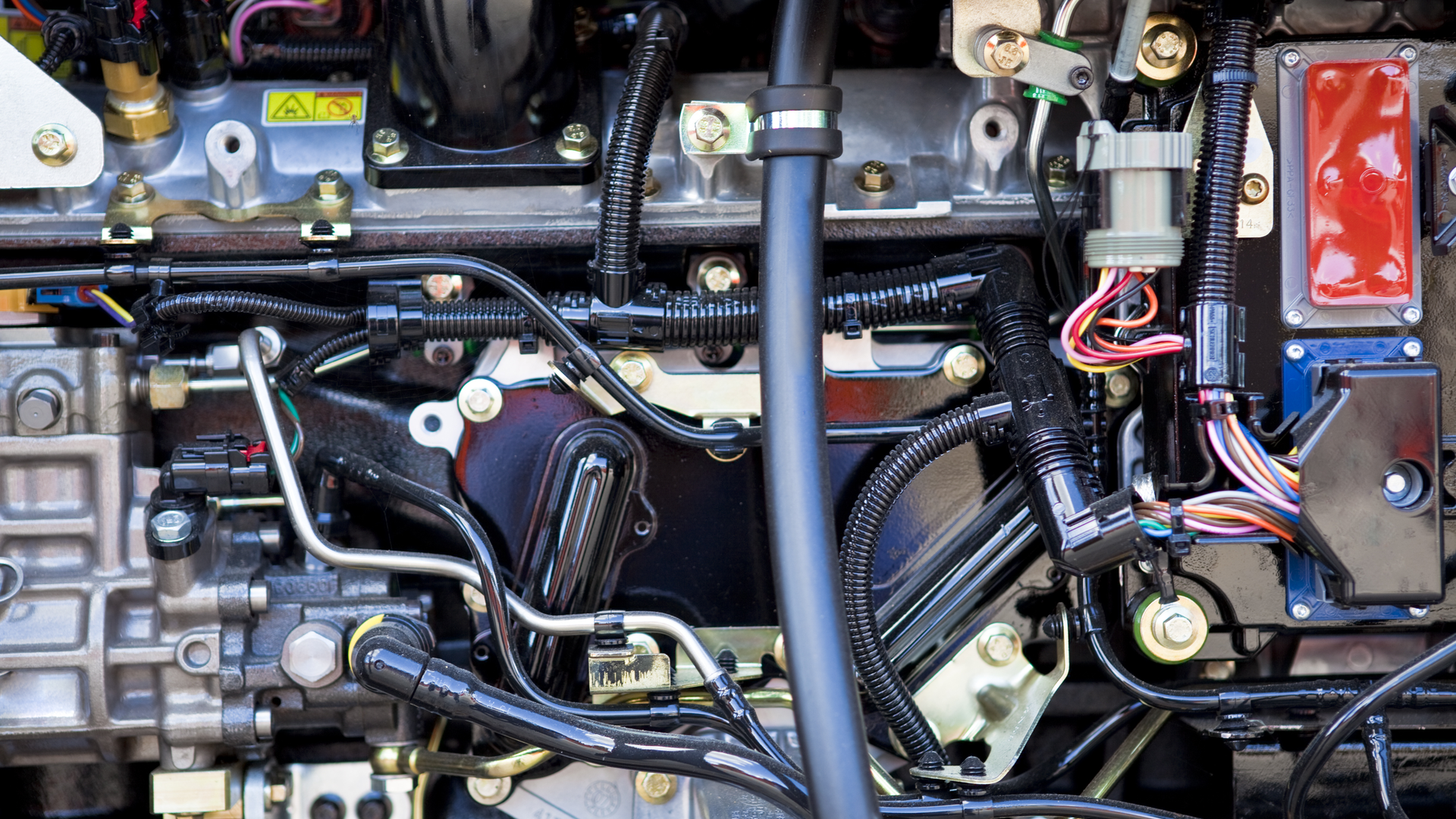 Dreamstime L 10820725 63d8012ed7608