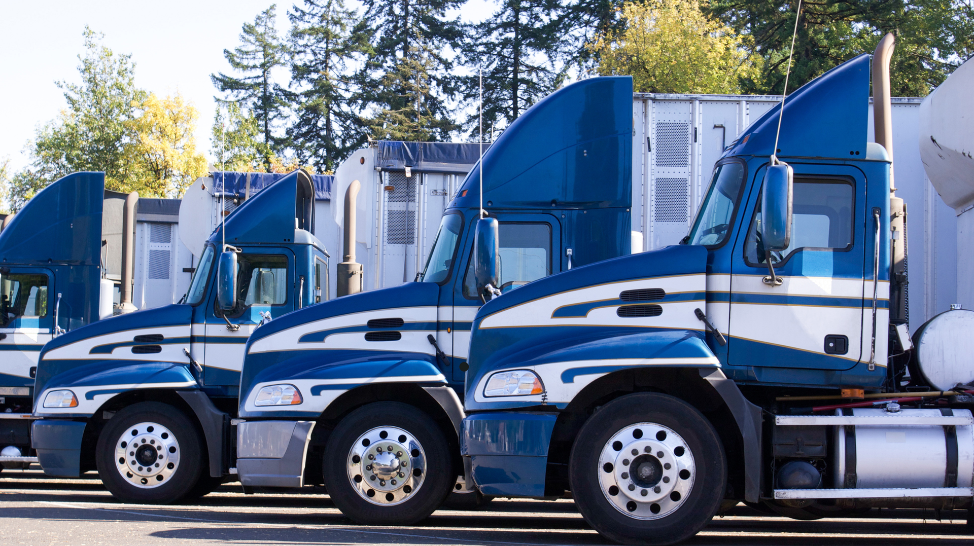 Dreamstime Xxl 71105812 63cefa5769f30 63d1a16268639