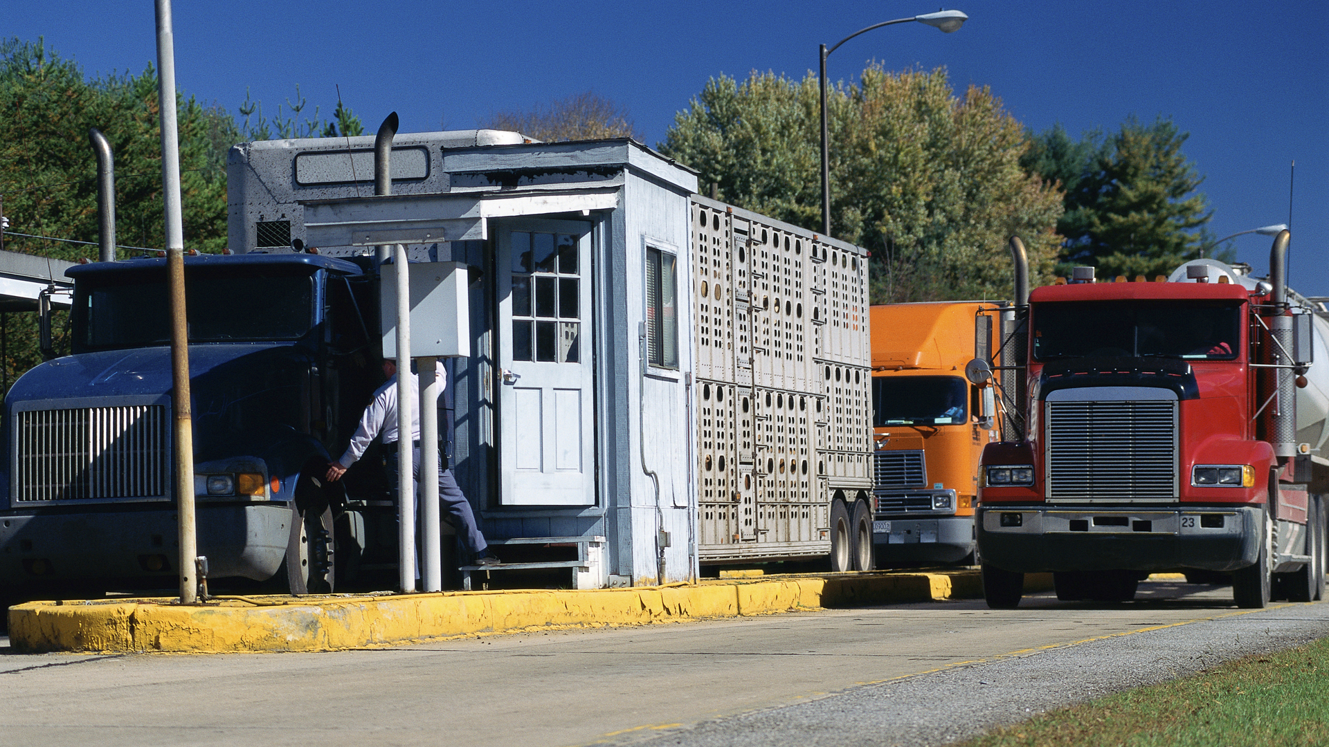 Dreamstime Xxl 23162257 63ec0867ea980 63ed29793442e