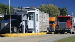 Dreamstime Xxl 23162257 63ec0867ea980 63ed29793442e Dreamstime Xxl 23162257 63ec0867ea980 63ed29793442e