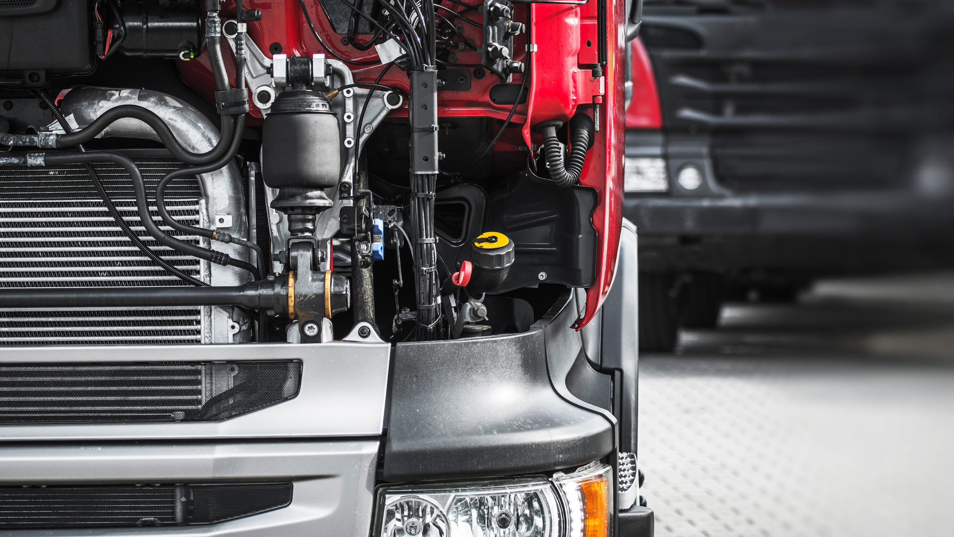 Dreamstime L 110203491 6443140a08292