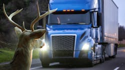 Getty Images 117229344 64516dbb70159 Getty Images 117229344 64516dbb70159