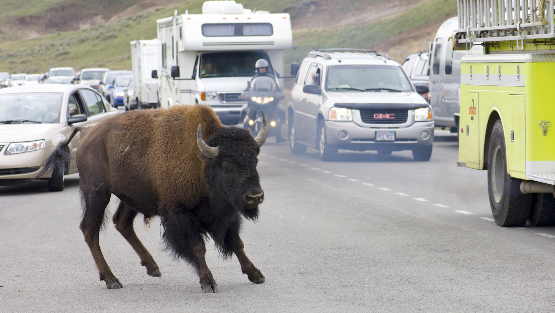 Dreamstime Xl 29045754 645b9f4320ed6