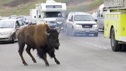 Dreamstime Xl 29045754 645b9f4320ed6 Dreamstime Xl 29045754 645b9f4320ed6