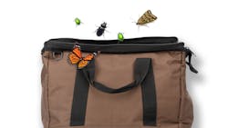 Dreamstime Xxl 204172938 Edit 64543188d4728 6467bab1becd6 Dreamstime Xxl 204172938 Edit 64543188d4728 6467bab1becd6