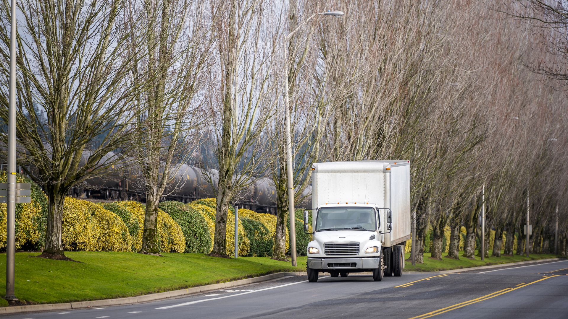 Dreamstime L 137888985