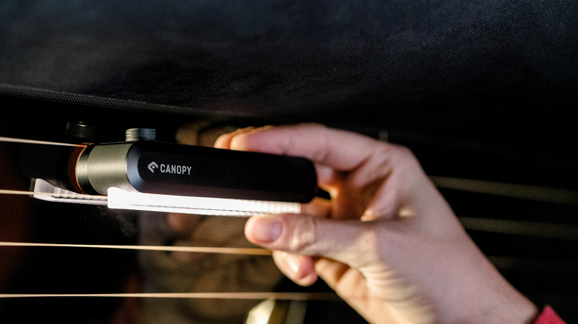 Copy Of Copy Of Canopy Photoshoot 0193 64c7b87f12524