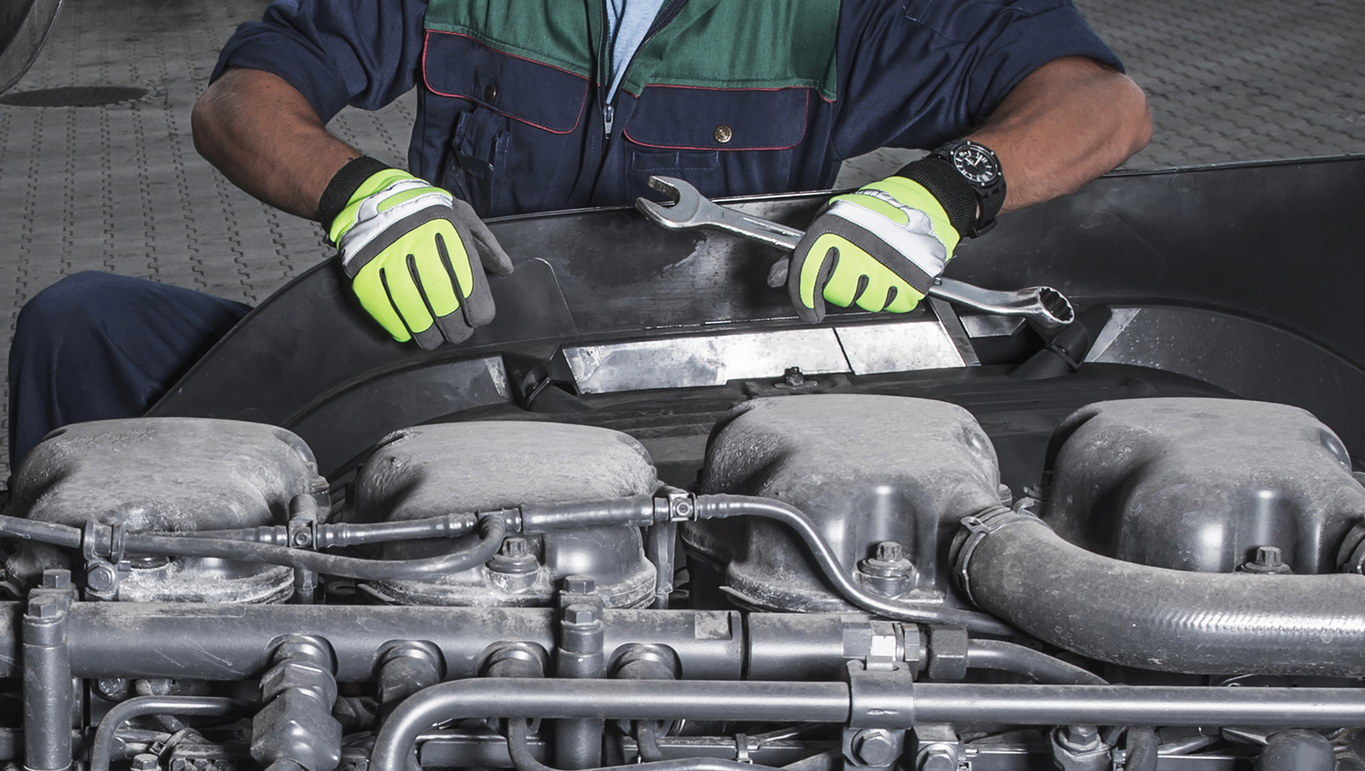 Dreamstime M 189536611 64ac326d4d7c0 64afff7bba65f