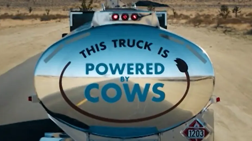 Shell Biofuels 65099a224385b 650b1ac65381e