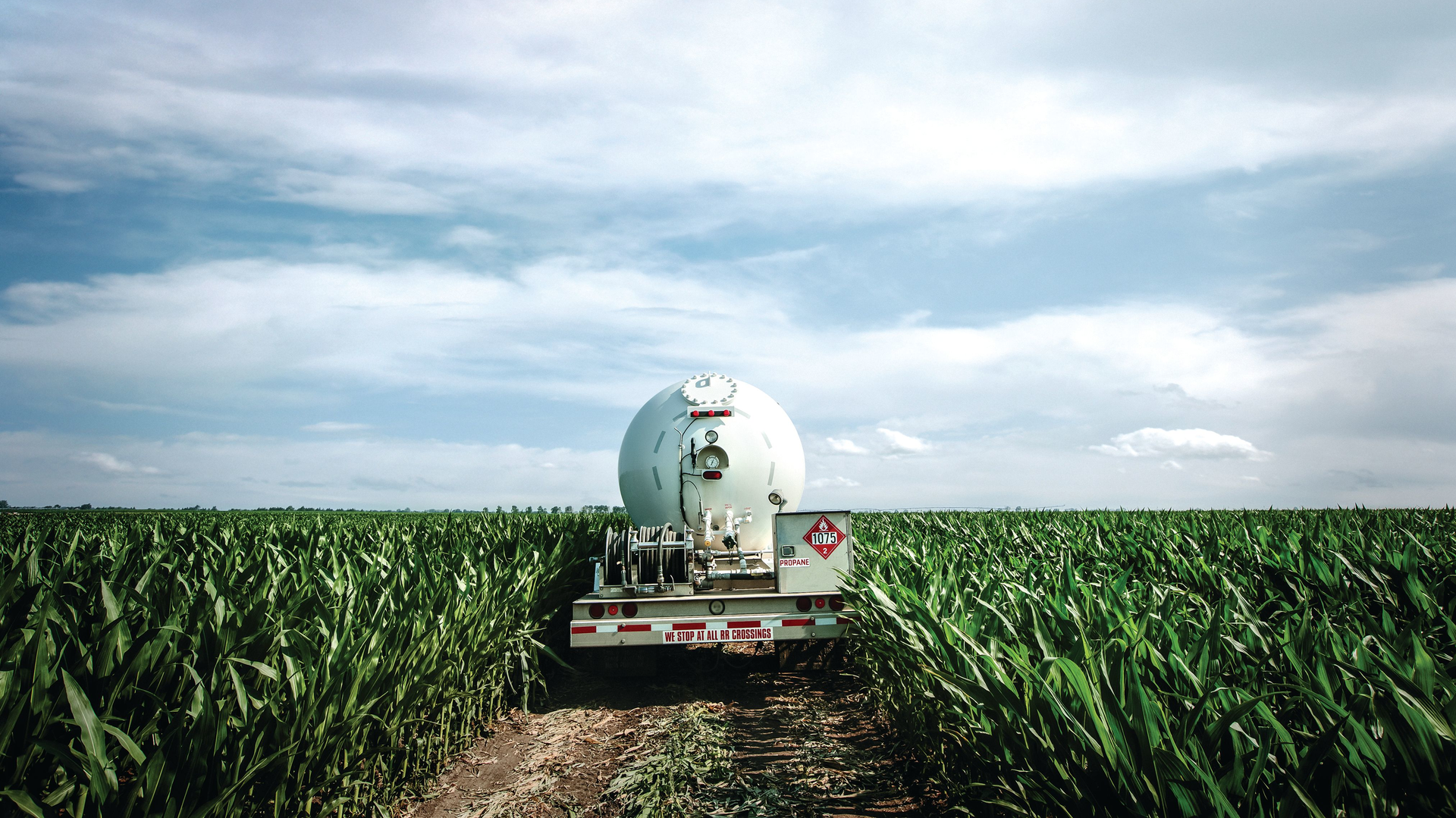 Bobtail Delivers In Field