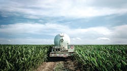 Bobtail Delivers In Field 652fc105ea992 Bobtail Delivers In Field 652fc105ea992