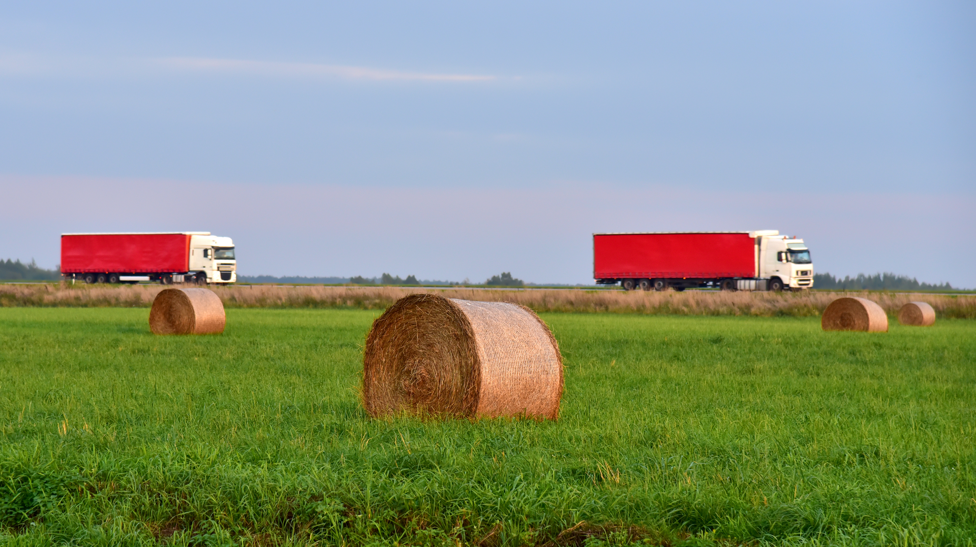 View of a field with hay in rolls against the background of trucks with semi-trailer driving along the highway.