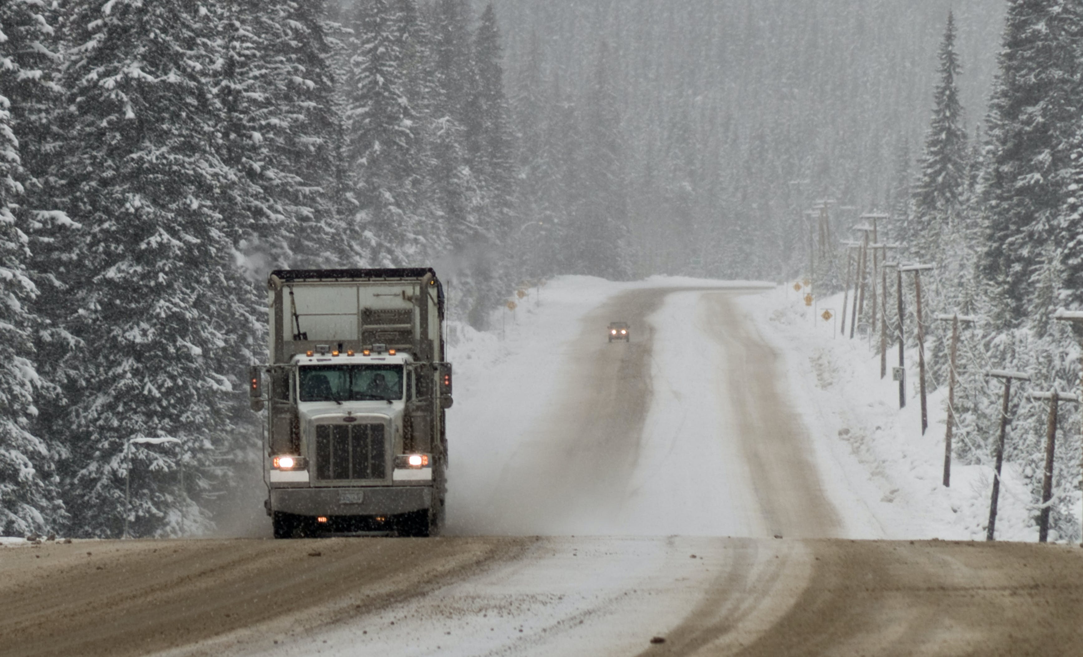 Dreamstime Xxl 9209604