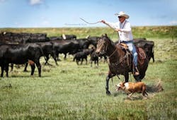 6543e711073e0b001e0b4729 Jimmathisontheranch 6543e711073e0b001e0b4729 Jimmathisontheranch