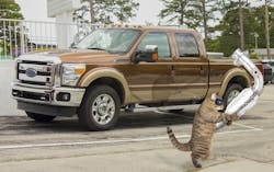 65561ddaa3a16b001e400e9c Catalyticconverter 65561ddaa3a16b001e400e9c Catalyticconverter