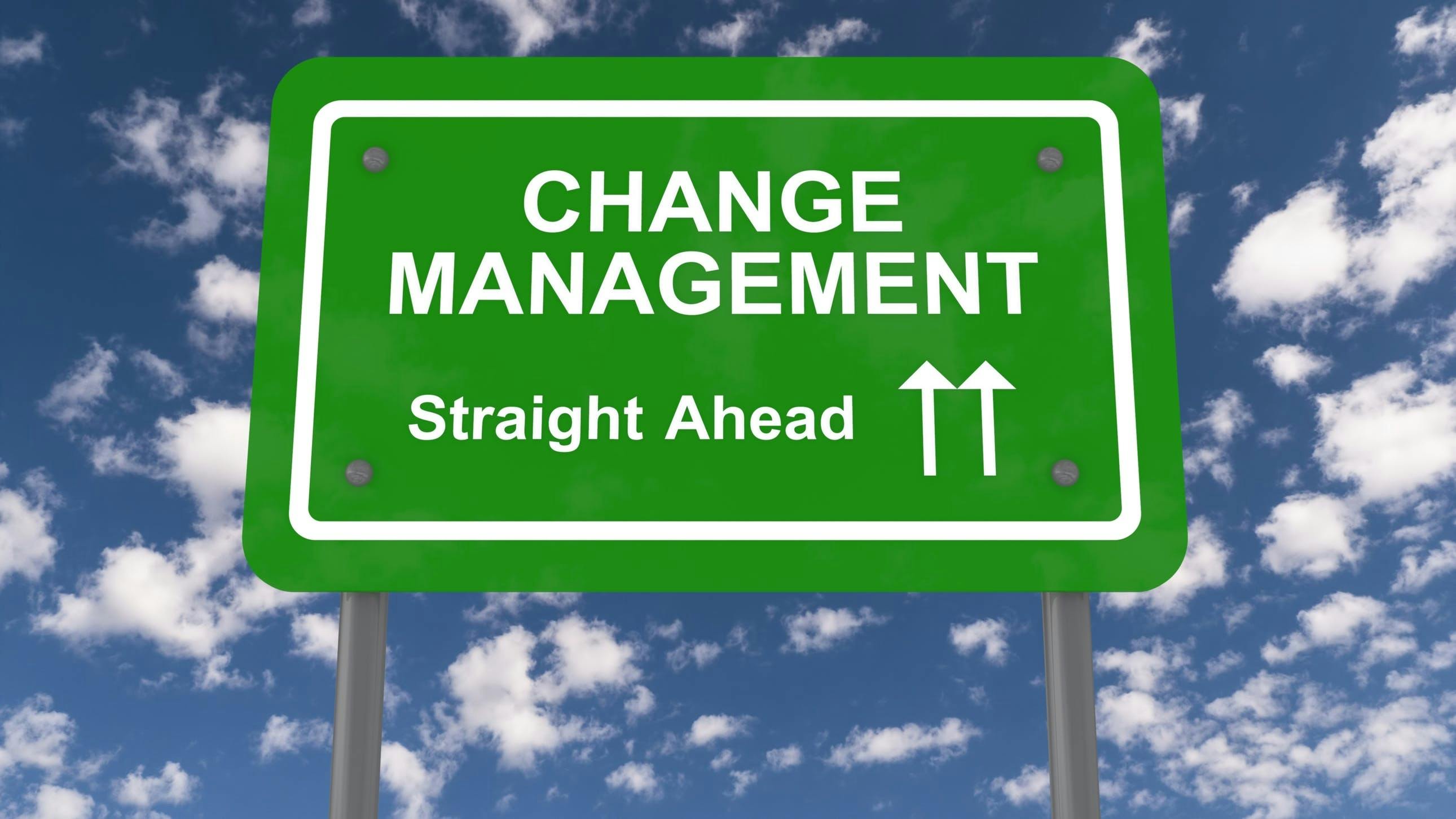 65a6a933650910001e03528d 659eb9a9d62177001eb09cd1dreamstime L 53119852