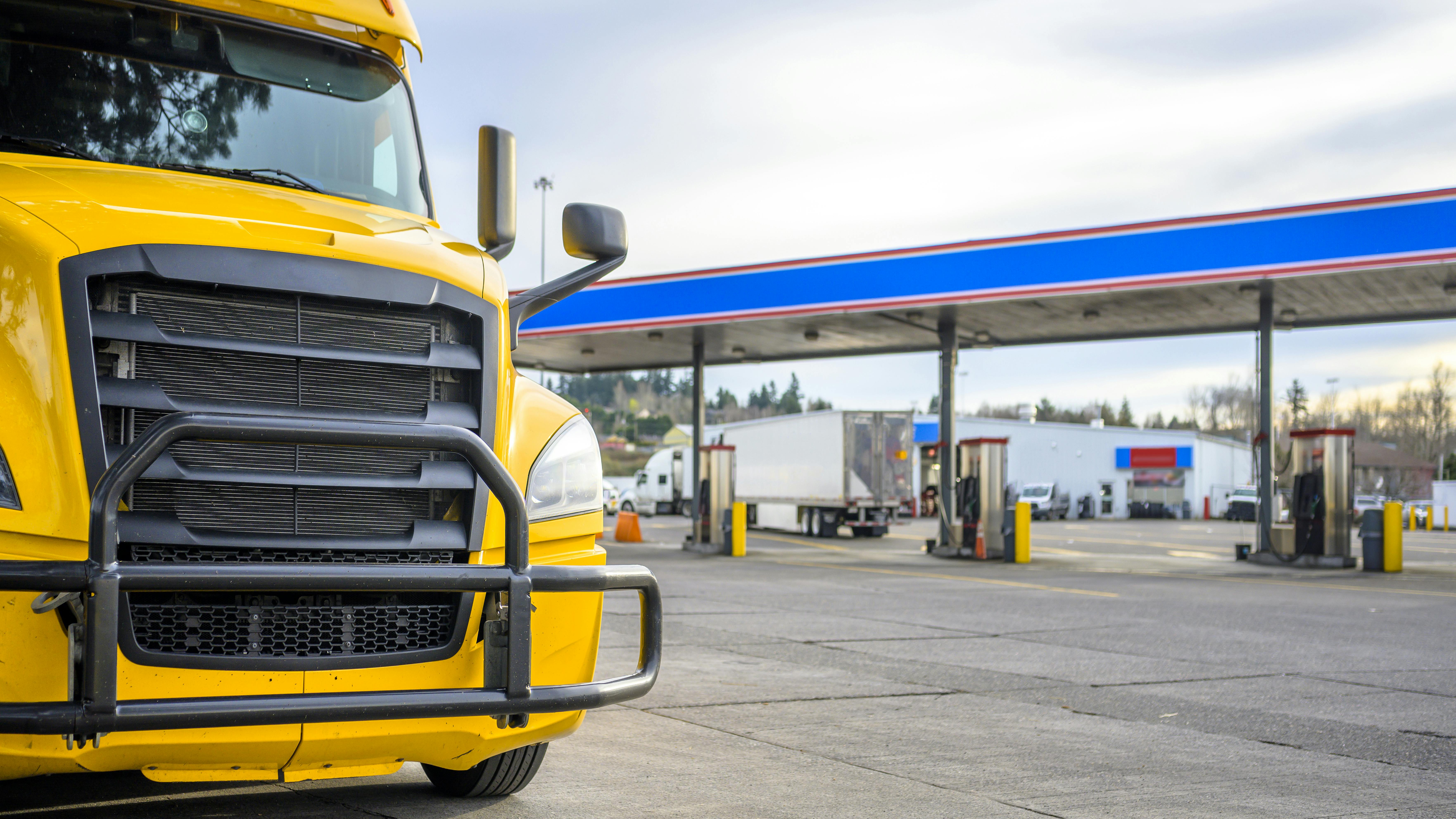 65a71a8b5e3279001ed6b186 Dreamstime Xxl 177079805