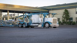 65d5aee84df9a8001e892e43 Dreamstime Xxl 157624222 65d5aee84df9a8001e892e43 Dreamstime Xxl 157624222