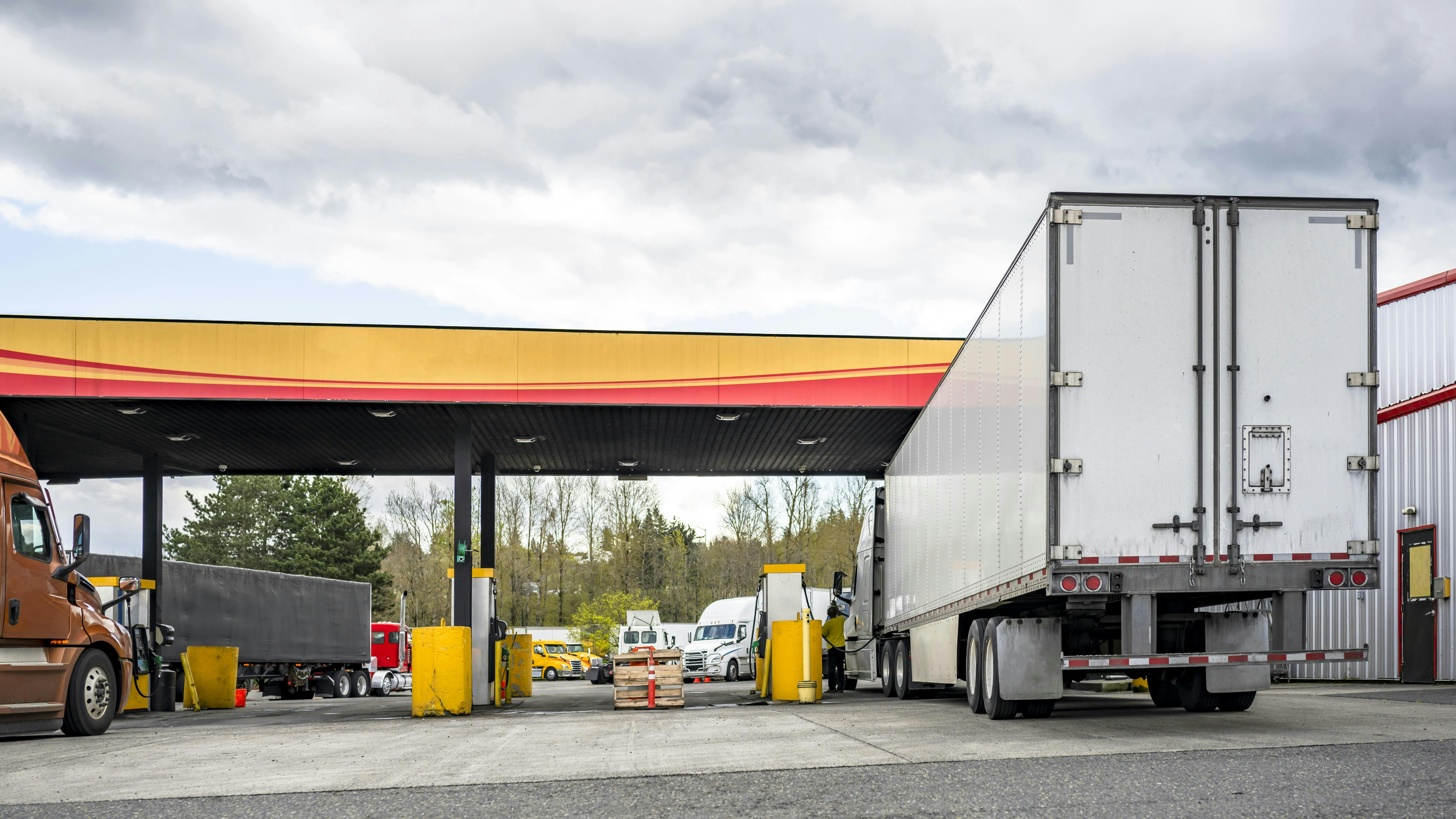 66157d1e83c610001e348e04 Dreamstime Xxl 245830962