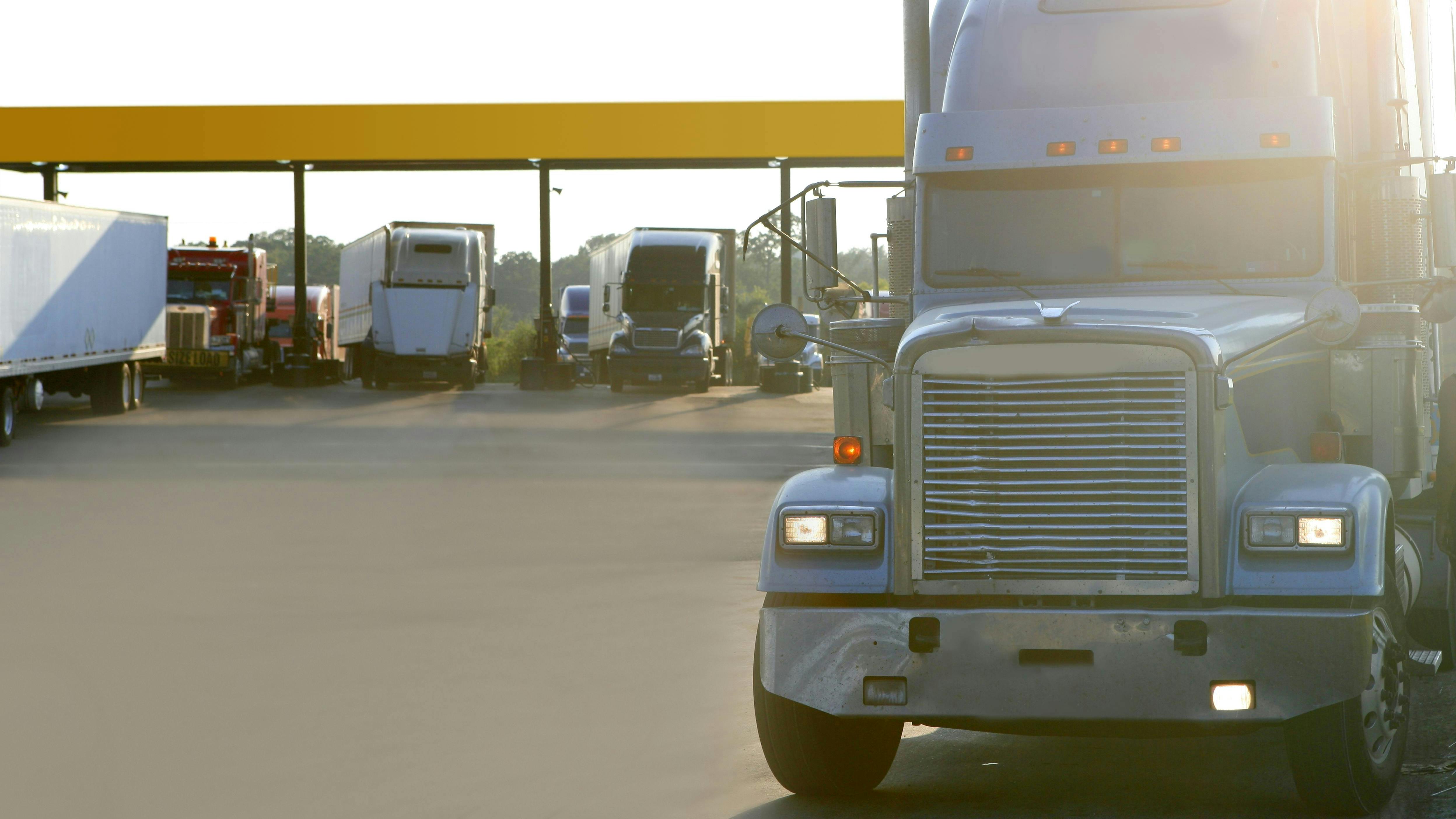 6631ce2af9e5c200087a1e15 Dreamstime Xxl 11474491