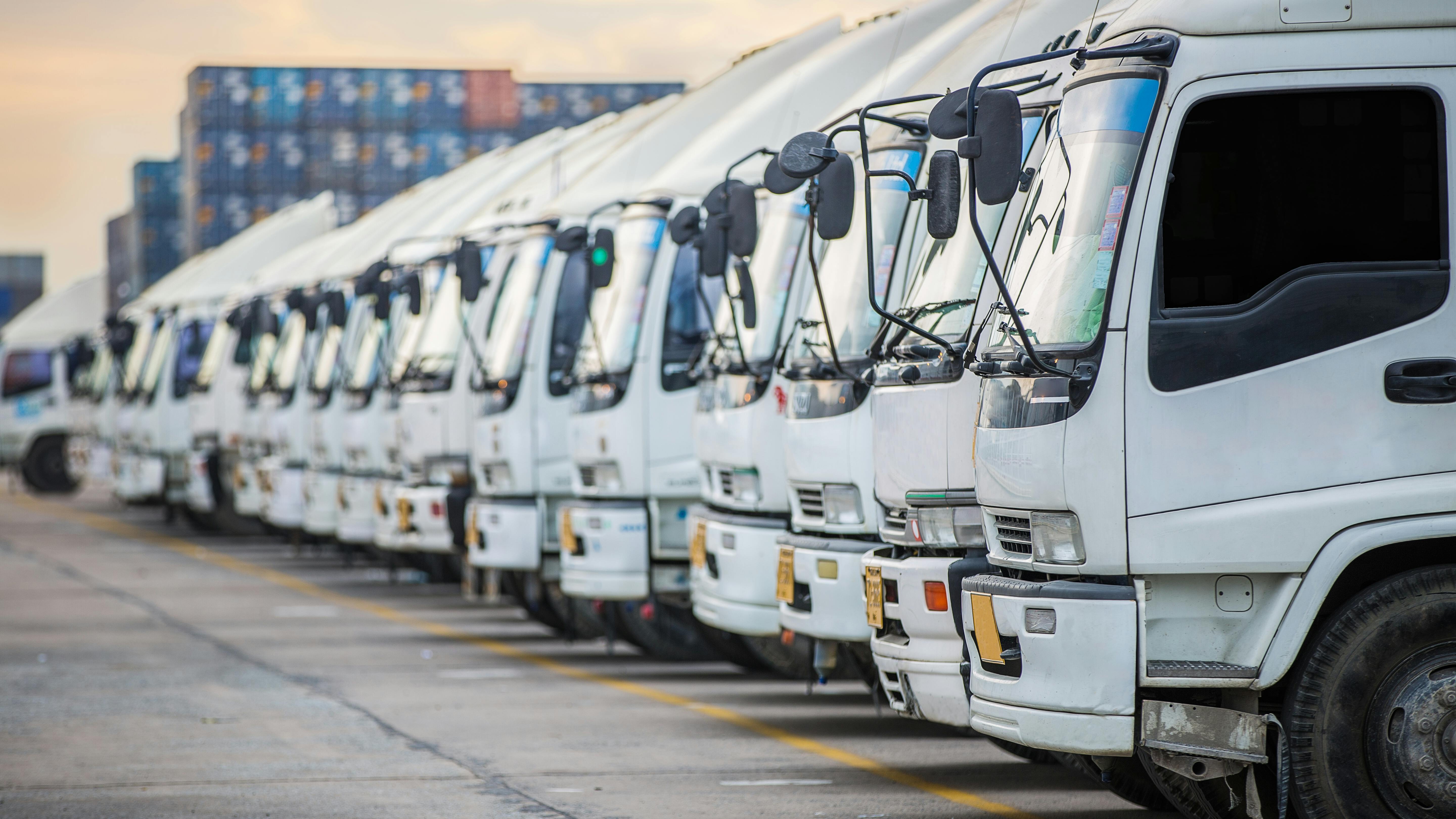 6655d79792b21cce77660e6e Dreamstime Xxl 112336687