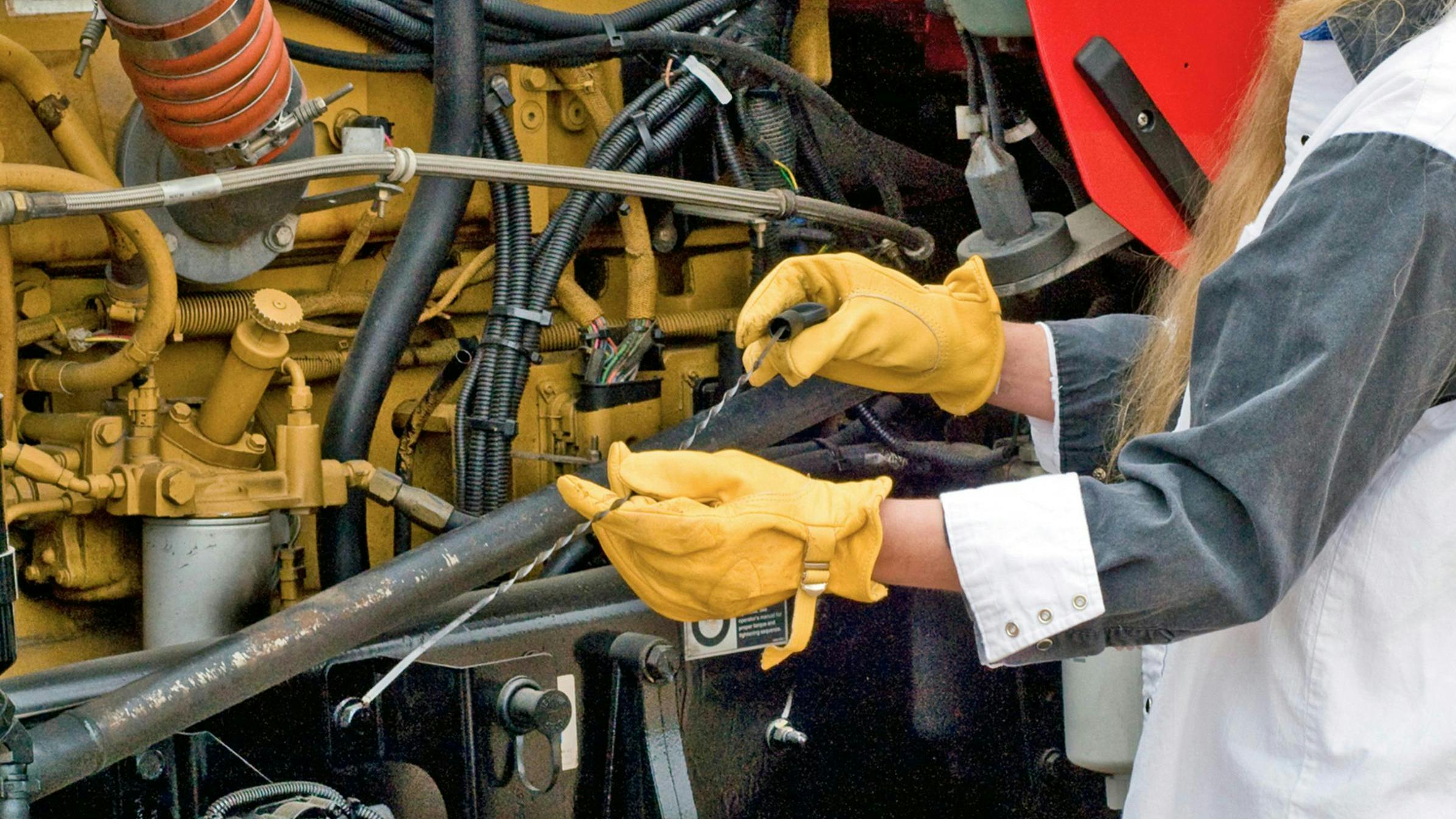 666b6a5c2bad46f53004a416 Dreamstime Xxl 167667373