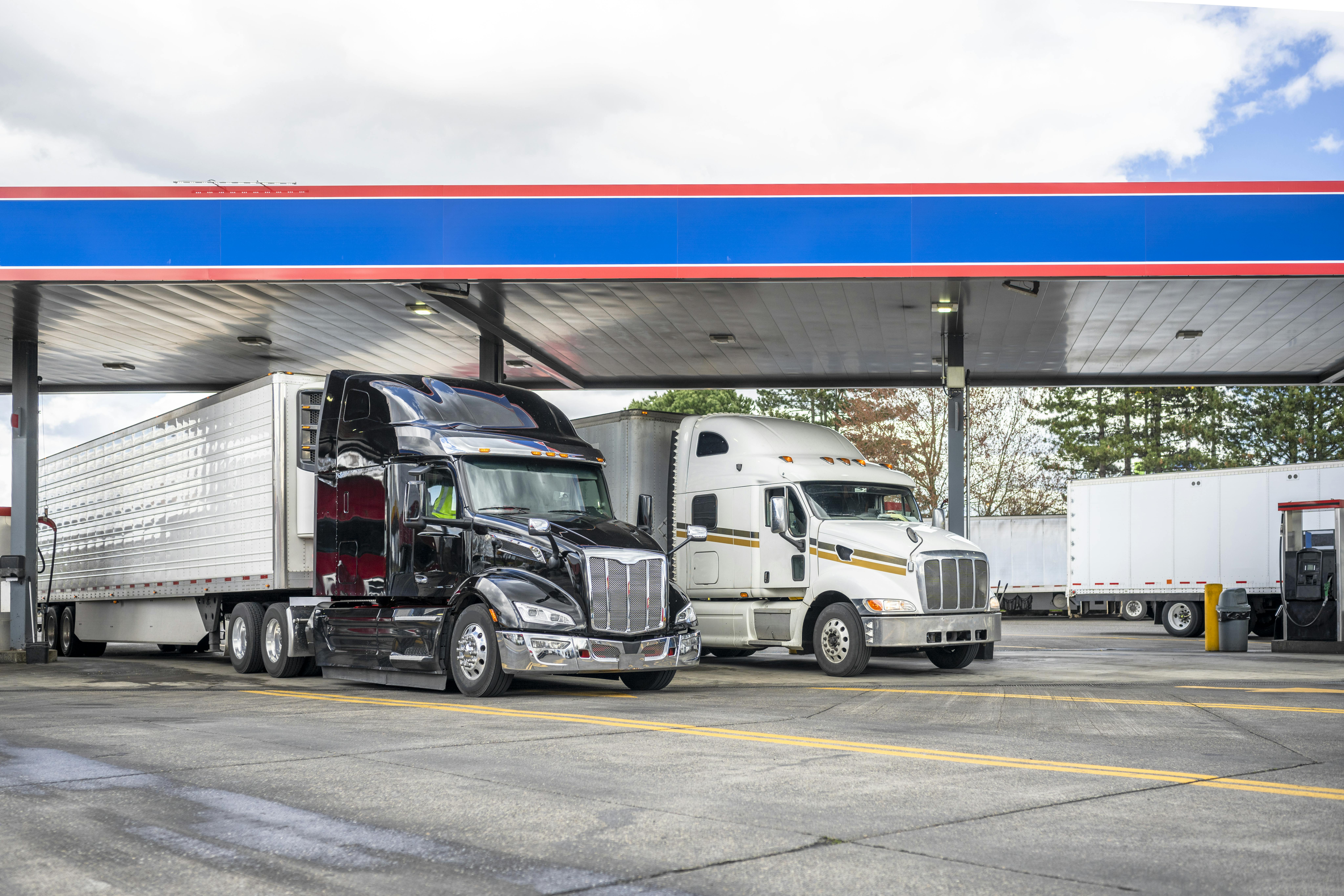 668cc73a16c5c6338d271579 Dreamstime Xxl 316925594