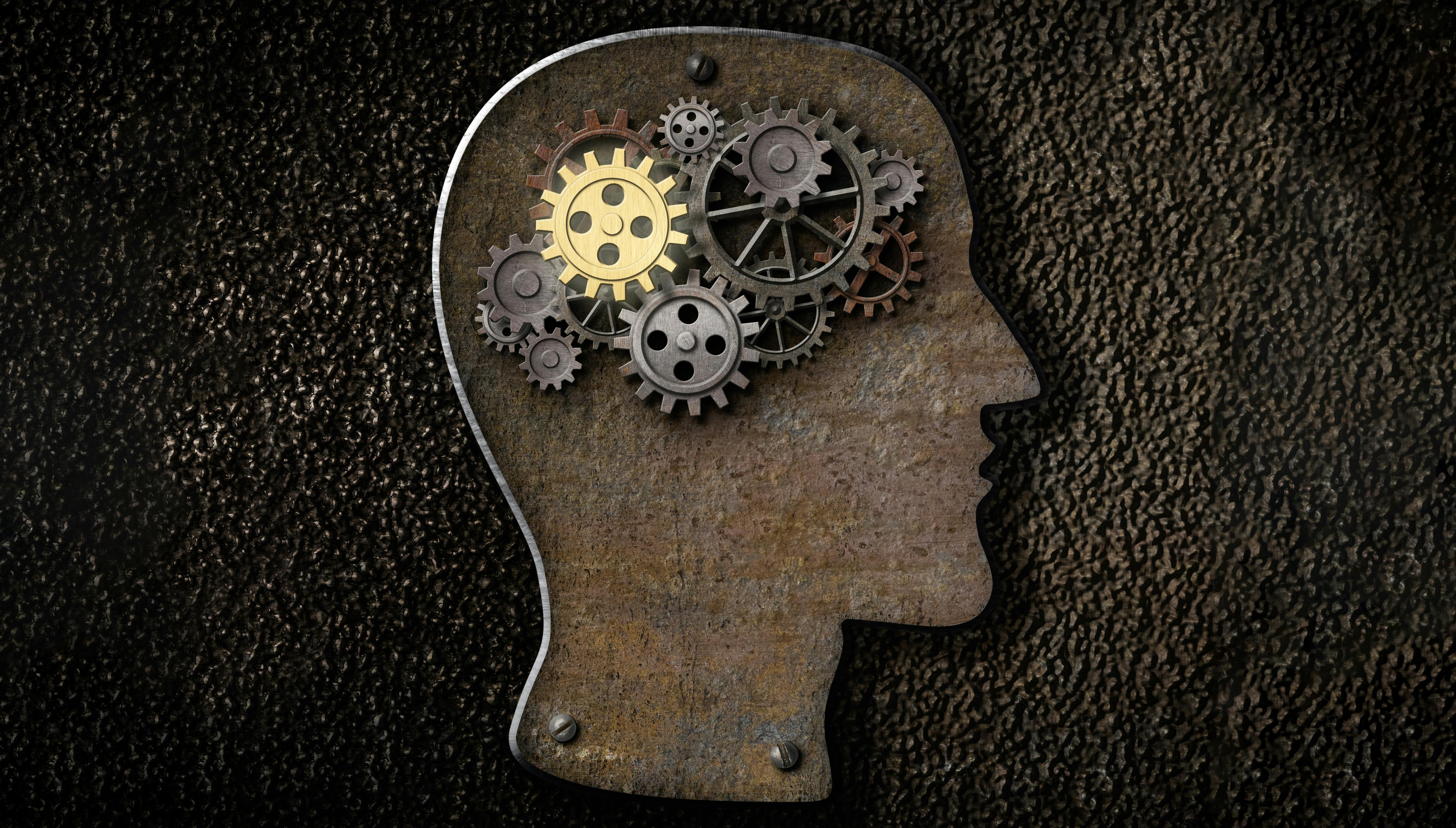 66a115f130766438f90fc706 Dreamstime Xl 32466613