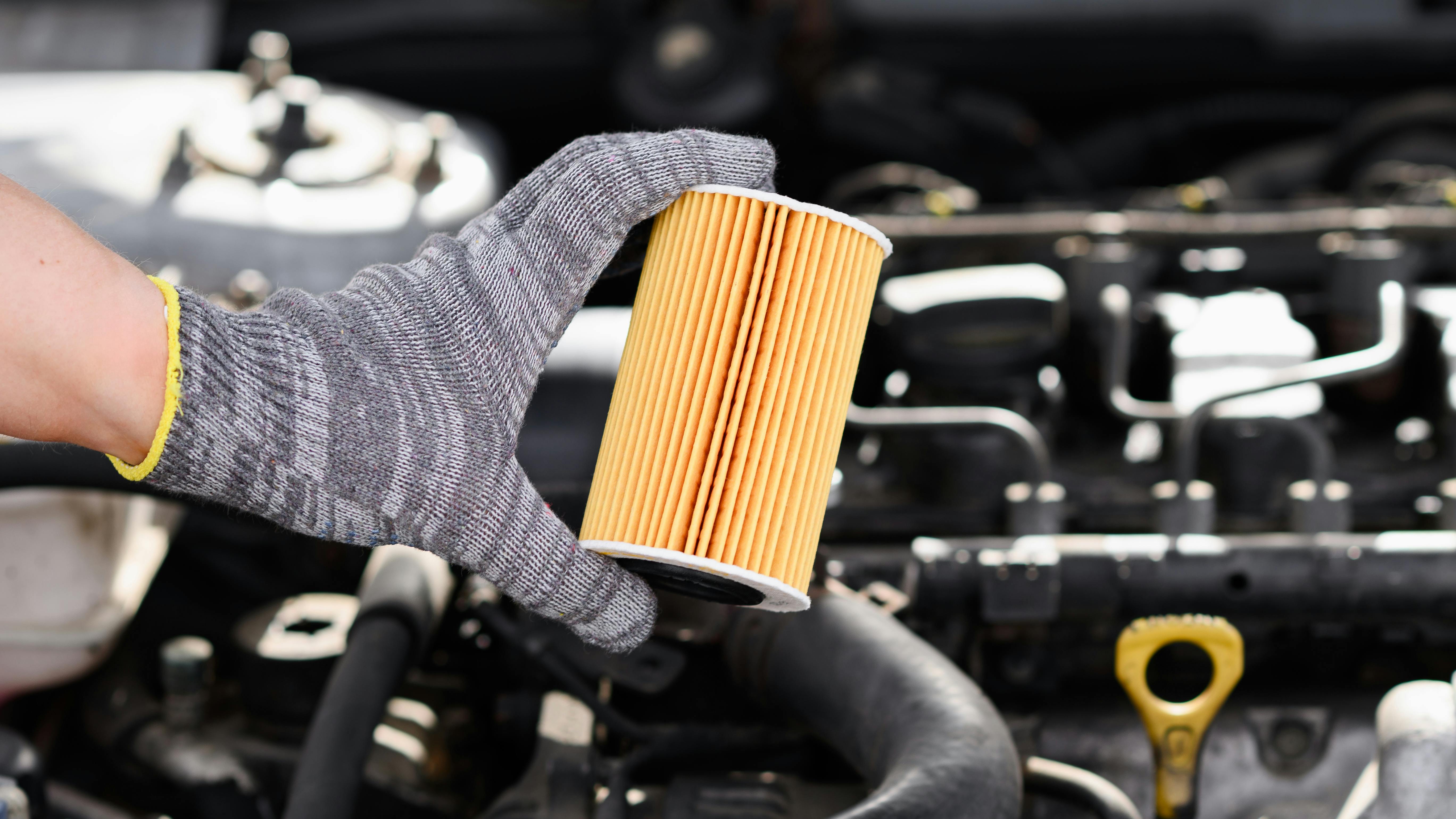 66c37de54f675832045ea9b3 Dreamstime Xxl 315100153