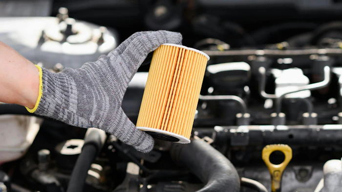 66c37de54f675832045ea9b3 Dreamstime Xxl 315100153