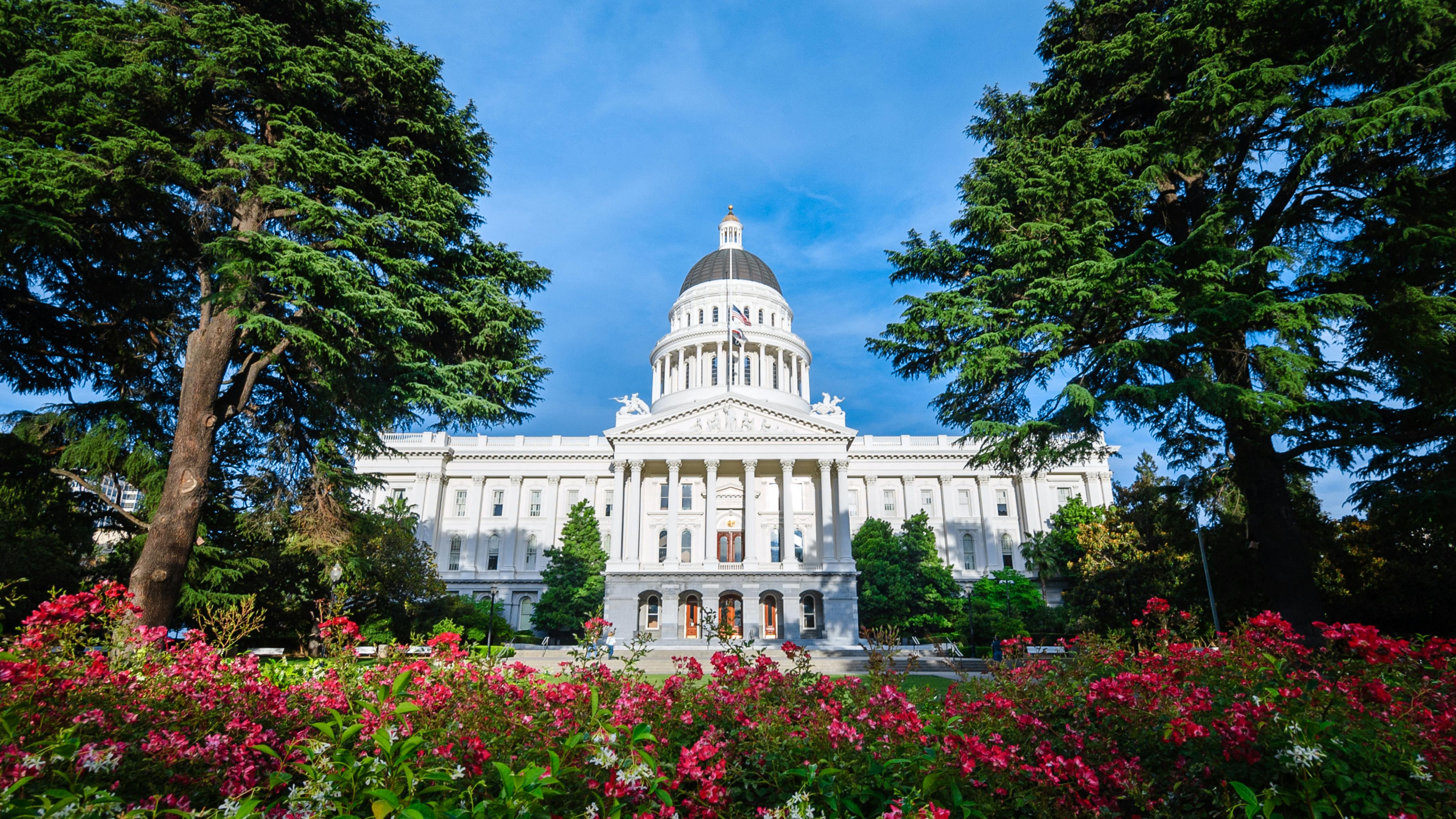 66c7495a84d6d18867ab997c Dreamstime Xxl 61131295