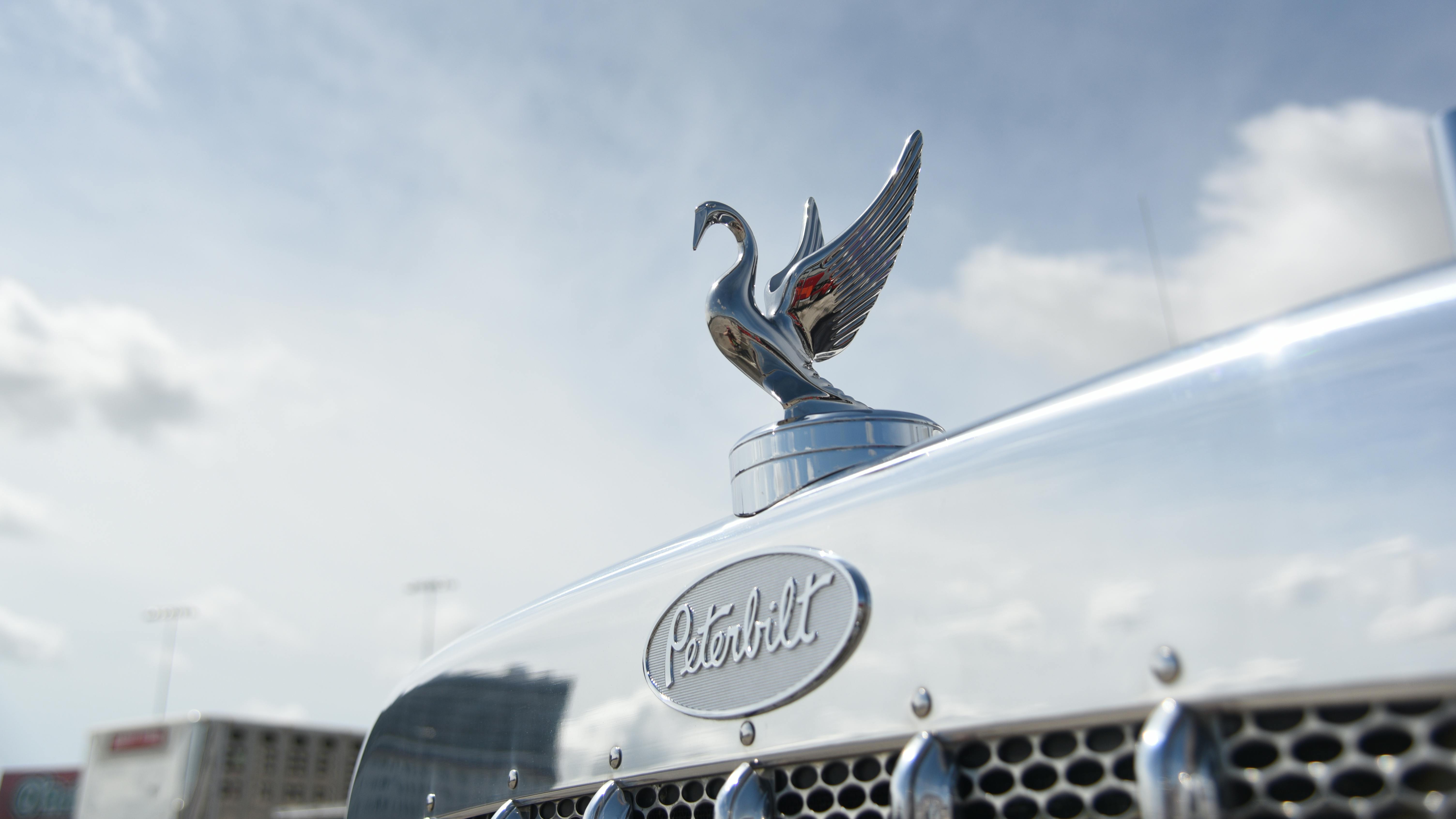 Shell Rotella SuperRigs Peterbilt