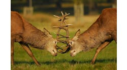 dreamstime_xl_6778187 dreamstime_xl_6778187