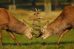 6705465446ab233ca1eddfd3 Dreamstime Xl 6778187 6705465446ab233ca1eddfd3 Dreamstime Xl 6778187