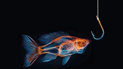 6706f32740ed076a5ffd63e5 2410fms Diagnosticsupplement Fish 6706f32740ed076a5ffd63e5 2410fms Diagnosticsupplement Fish