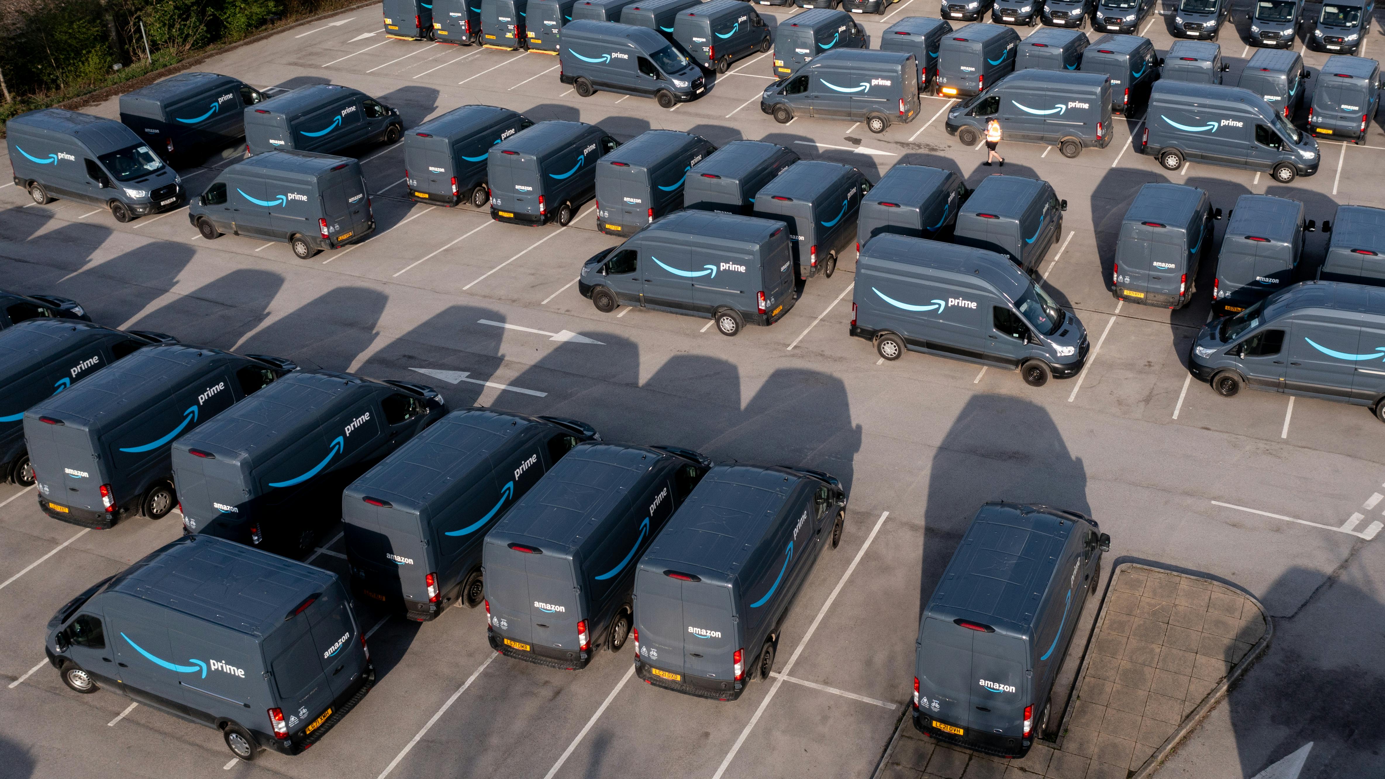 6716b6502d8f9e392d342ab6 Dreamstime Xxl 245533754