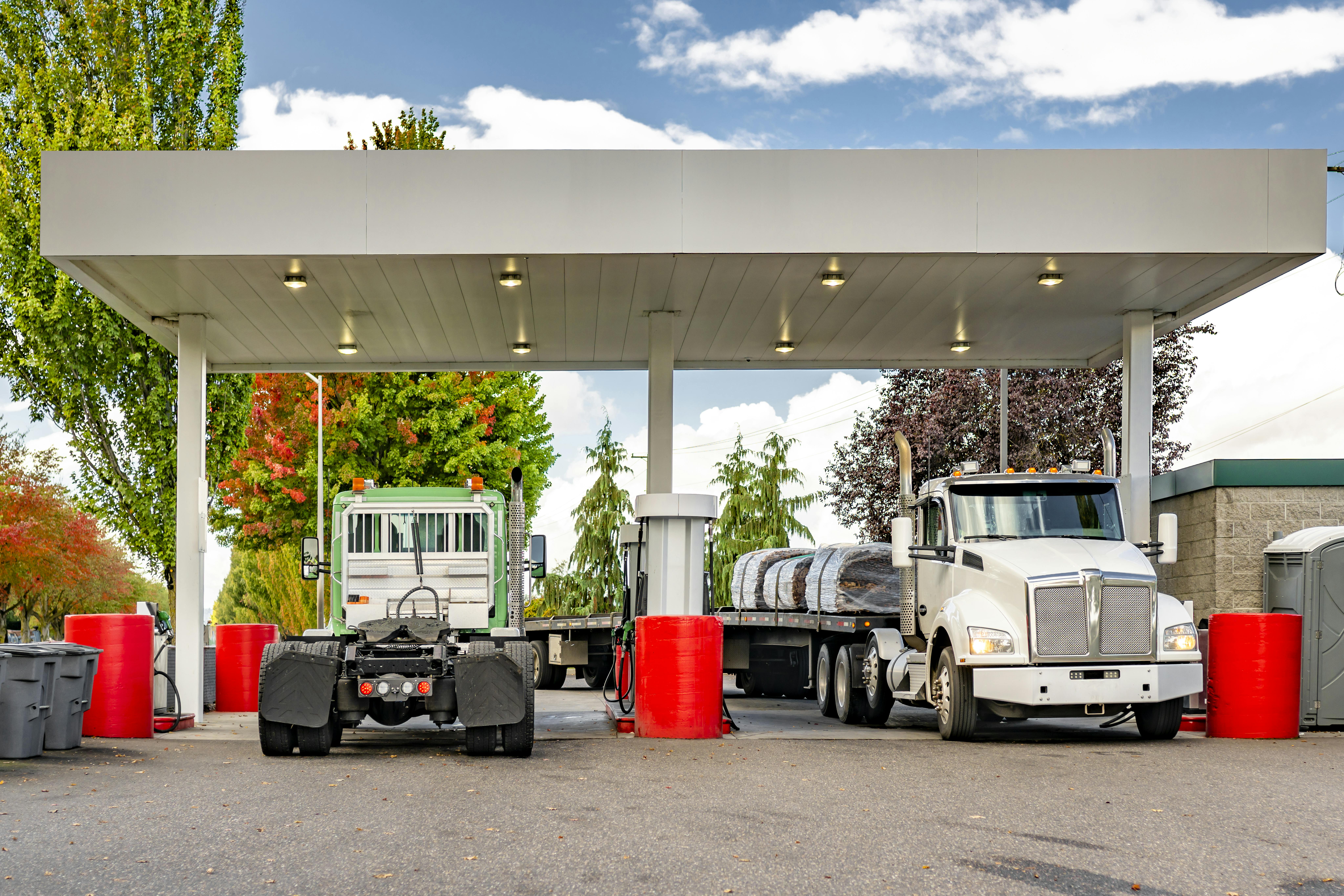 6733f8f4de506d1fab14fde7 Dreamstime Xxl 342264796