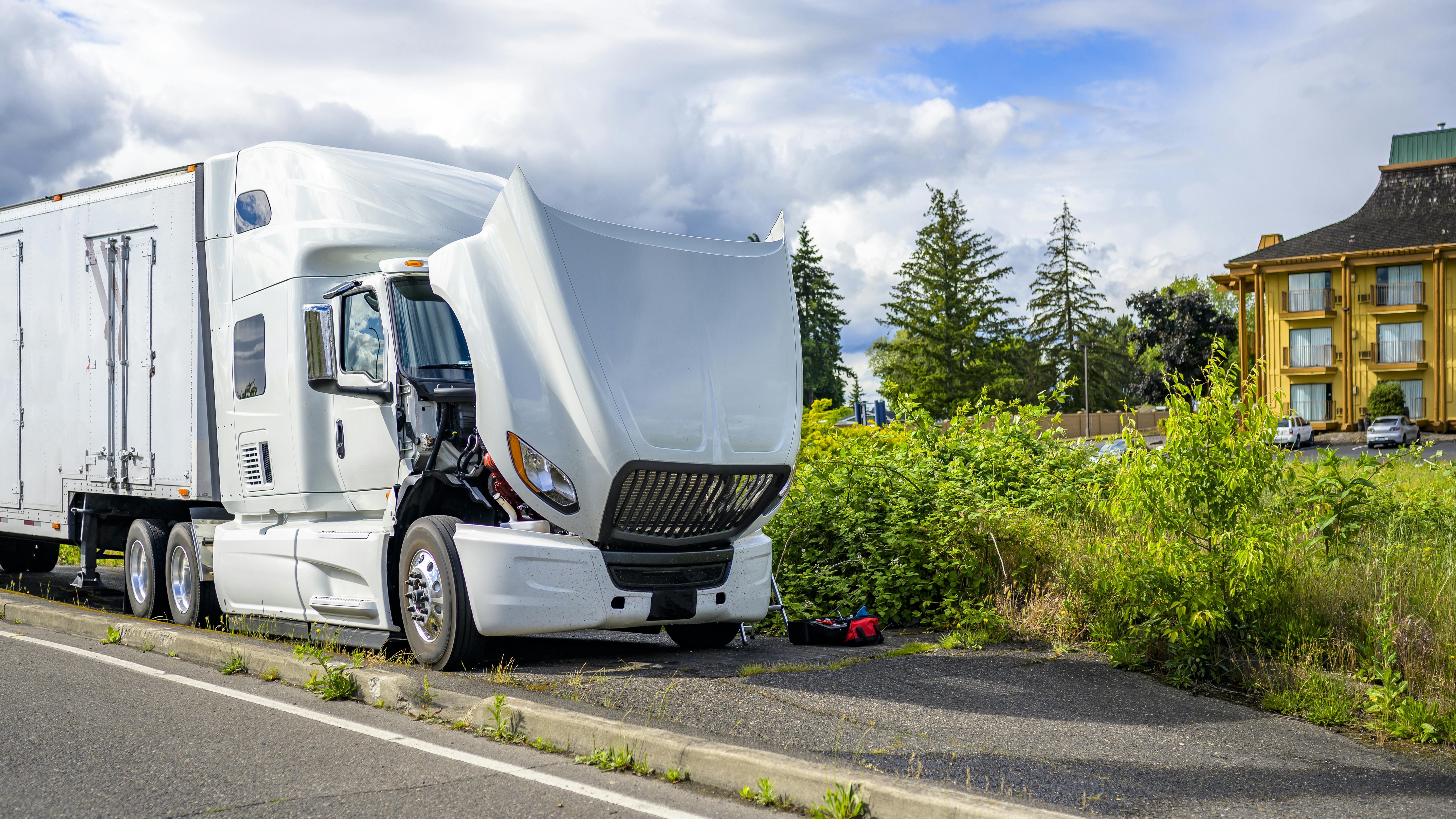 673fd5ffa947da4b0bb5be8f Dreamstime Xxl 272976447