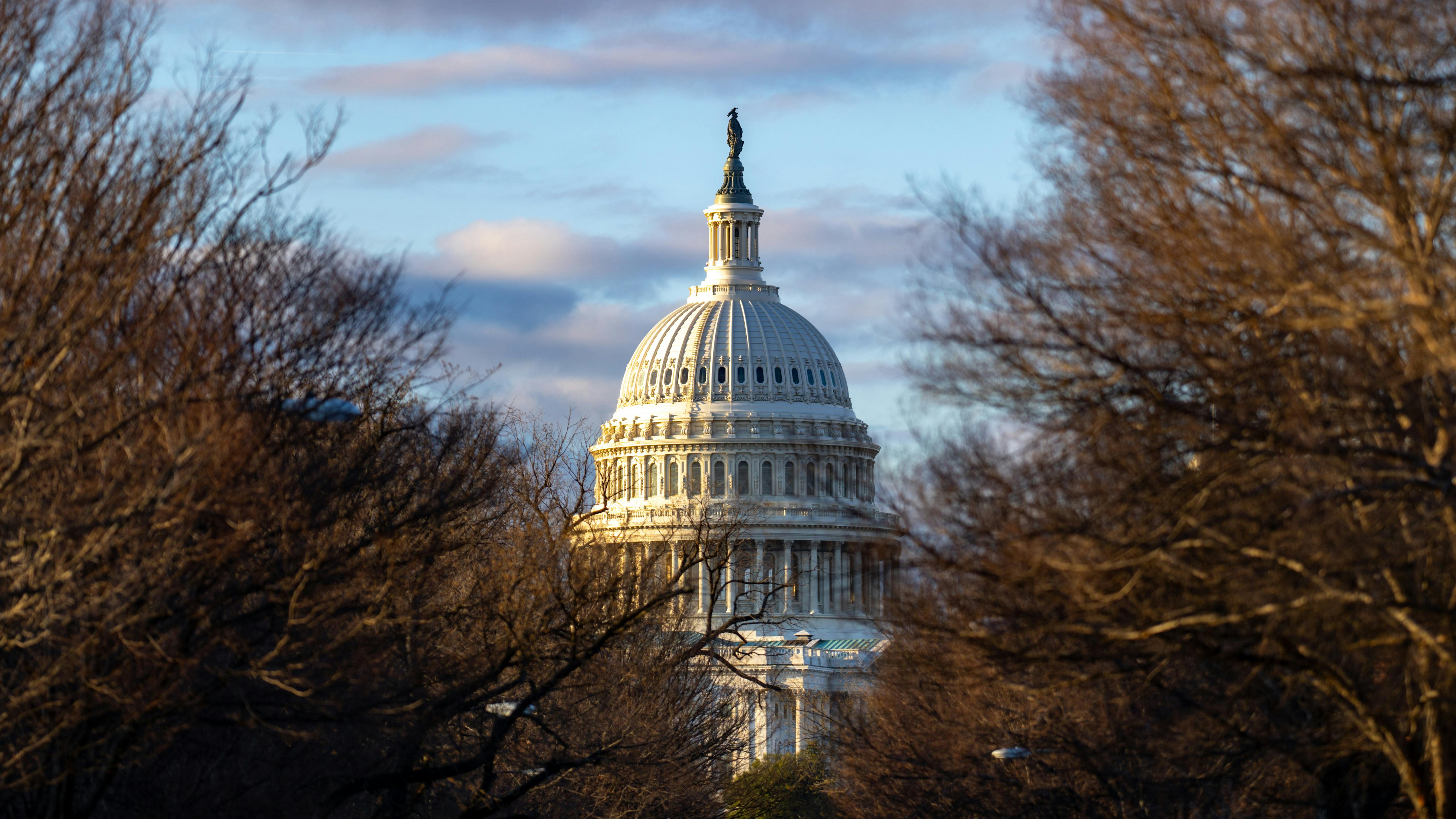 67b90f0601f61f4a8531ec47 Dreamstime Xxl 333192310