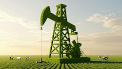 67dc1706032440f902d42355 Shutterstock 2590691497 67dc1706032440f902d42355 Shutterstock 2590691497