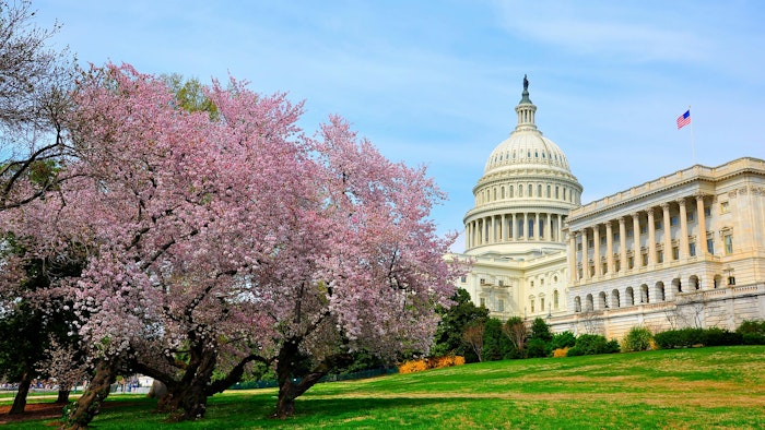 Capitol Hill during cherry blossom bloom