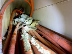 Animals can cause a lot of damage inside an aerial truck boom, including by tearing into hose coating. Animals can cause a lot of damage inside an aerial truck boom, including by tearing into hose coating.