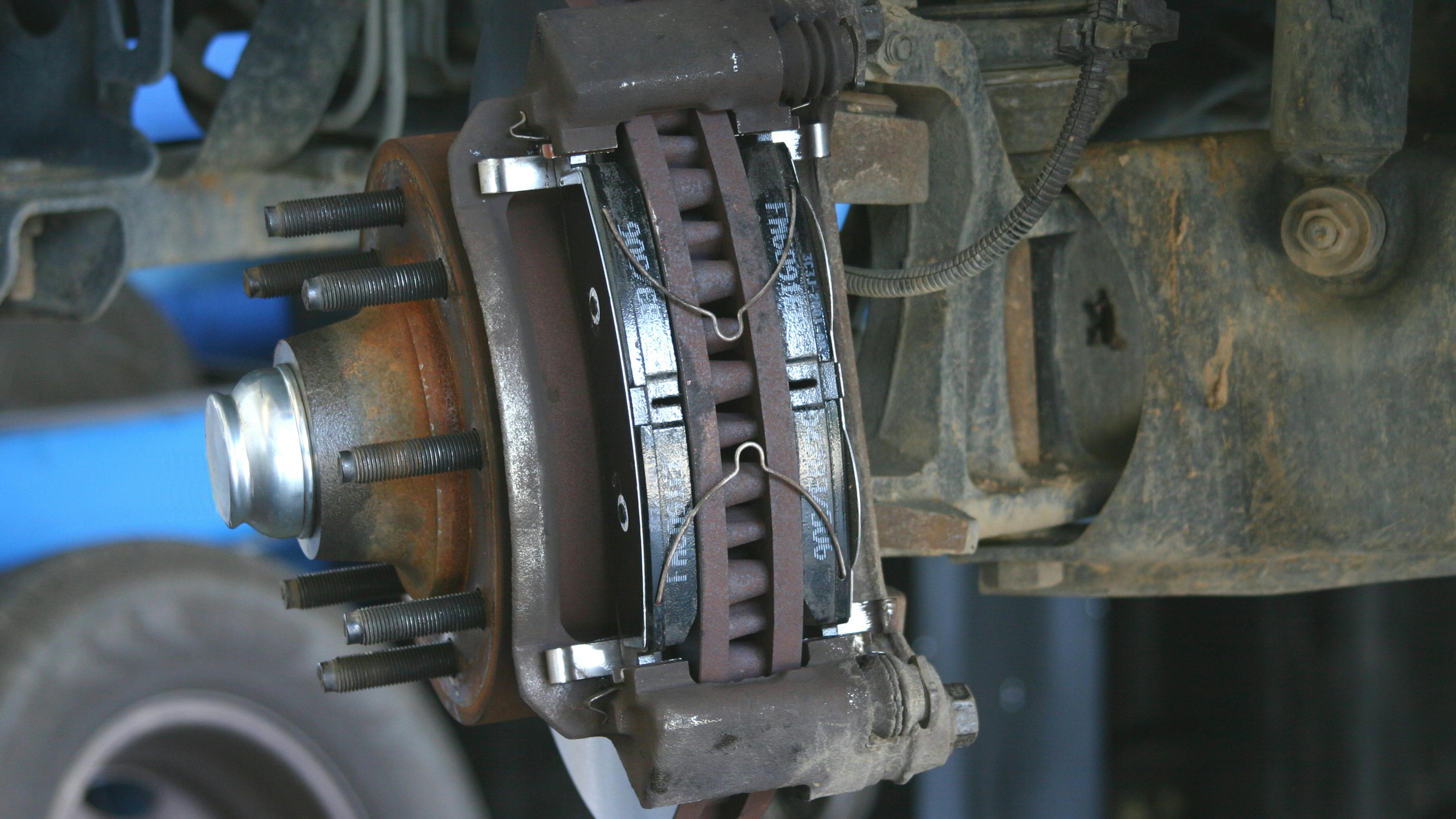 dreamstime_xxl_2543263