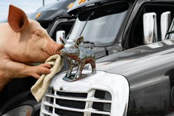 shutterstock_2628093343_1 shutterstock_2628093343_1