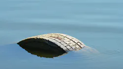 Tire treading water Tire treading water