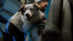 69455541d1f91159e1bed60d Download 3 69455541d1f91159e1bed60d Download 3