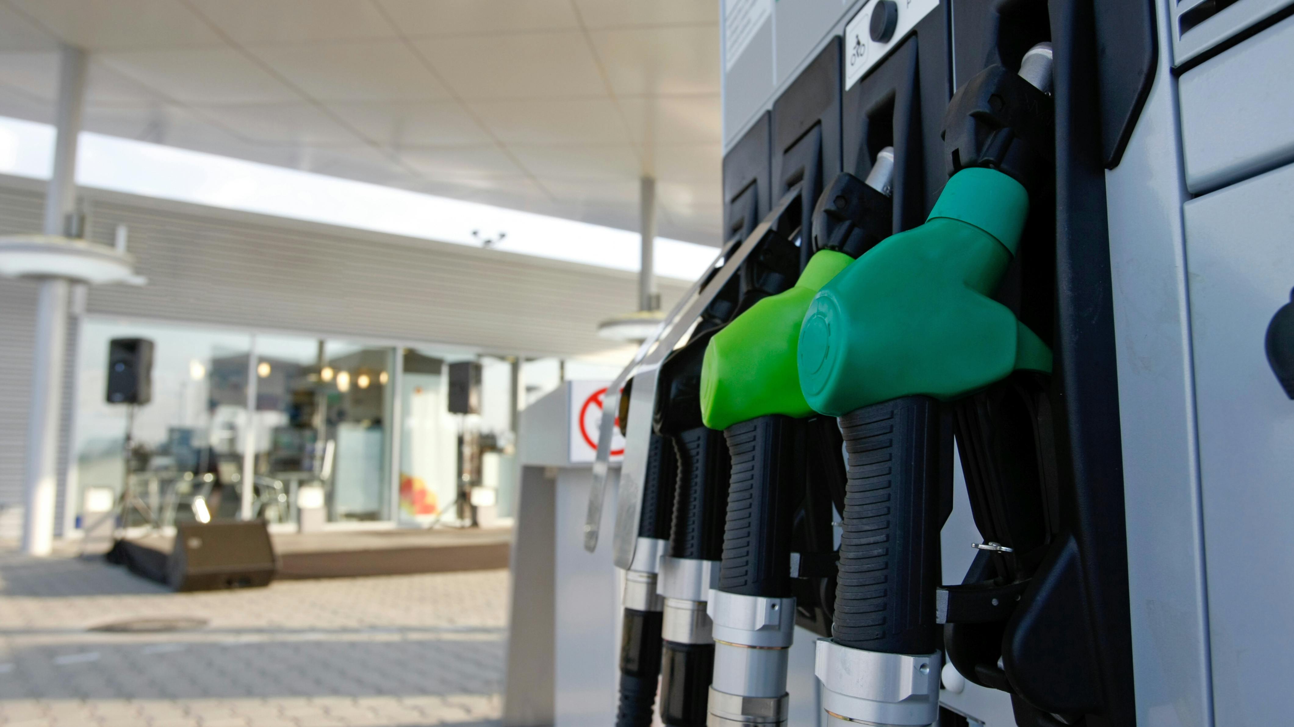 dreamstime_xxl_31813344